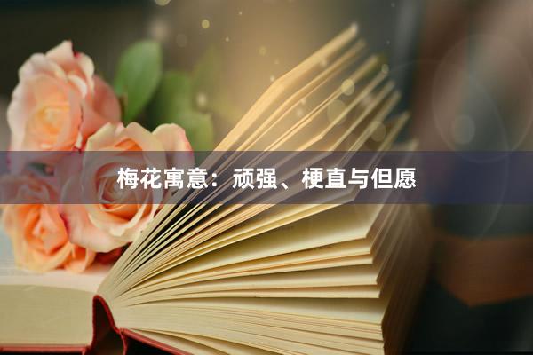 梅花寓意：顽强、梗直与但愿
