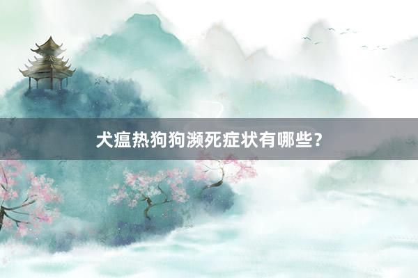 犬瘟热狗狗濒死症状有哪些？