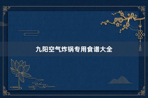 九阳空气炸锅专用食谱大全