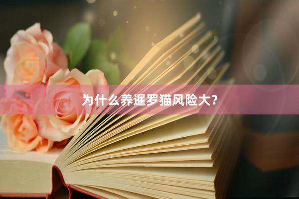 为什么养暹罗猫风险大？