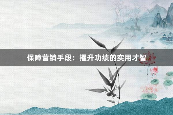 保障营销手段:擢升功绩的实用才智
